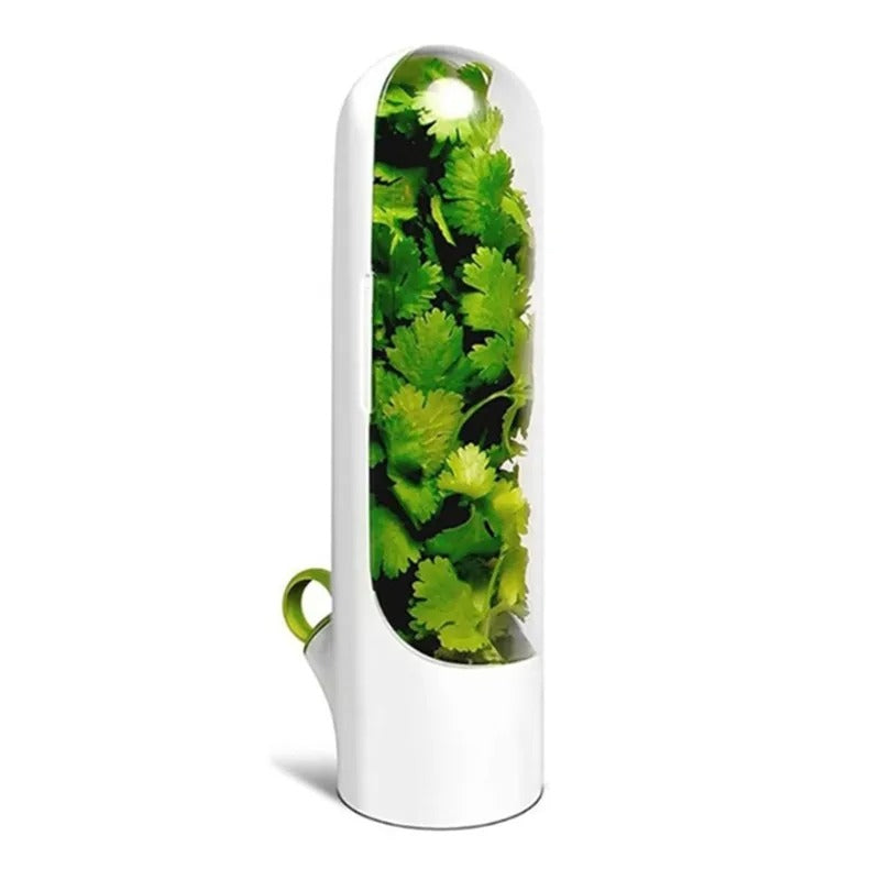 Herb Saver Storage Container – Premium Quality Fresh Herb Keeper